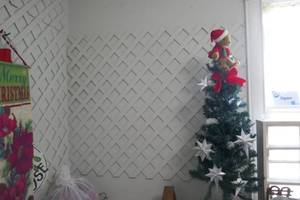 lot 538 image: There is Lattice on the walls in 2 rooms in the house - buyer to remove