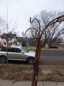 lot 554 image: 3 shepherds hooks, 1 tall and 2 shorter