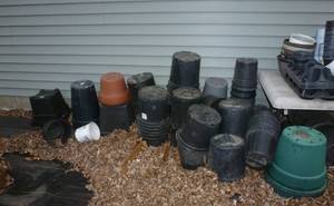 lot 562 image: All the plastic pots on the backside of the store