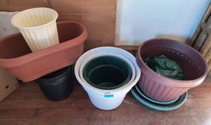 lot 622 image: Group of plastic planters