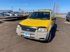 lot 20 image: 2001 Ford Escape