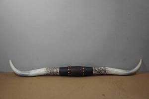 lot 225 image: 41 Longhorn Resin Horns