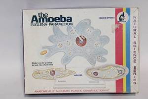 lot 131 image: The Amoeba Euglena-Paramecium Plastic Construction Kit