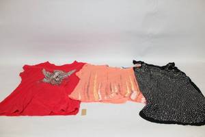 lot 208 image: Set of 3 Womens Tops in Various Styles and Sizes