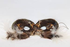 lot 269 image: Feathered Masquerade Mask with Brown and Gold Details