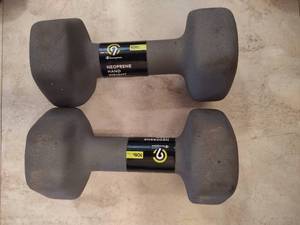 lot 163 image: Pair of 10 Pound Weights