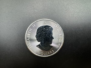 lot 44 image: 2018 BU Canadian 1.25 Oz. .9999 Silver Buffalo $8 Coin