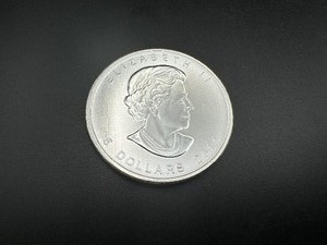 lot 49 image: 2011 Canadian 1 Oz. Silver Maple Leaf Coin