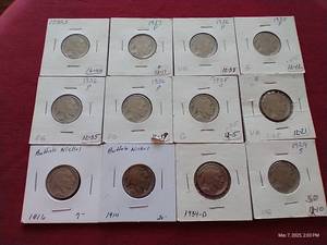 lot 49 image: (12) Buffalo Nickels