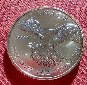 lot 104 image: 2014 Canada 1 oz Silver Peregrine Falcon $5 Coin