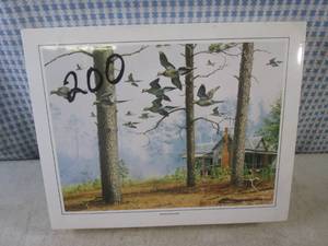 lot 134 image: (CS) 200 David Maass Mourning Dove...