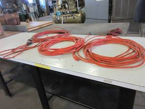 lot 256 image: EXTENSION CORDS