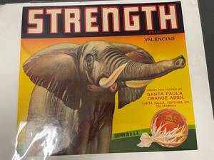 lot 25C image: Vintage Sunkist Strength Brand Valencias Label