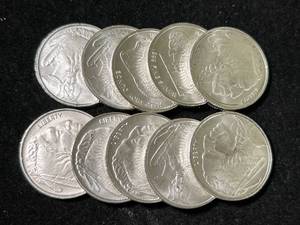 lot 91 image: GROUP OF 10 BUFFALO INDIAN SILVER ROUNDS HALF TROY OZ EACH (5 OZ TOTAL)