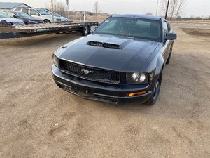 lot 11 image: 2006 Ford Mustang