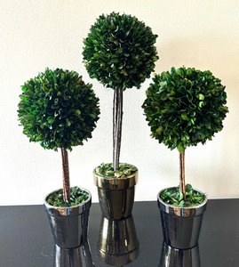 lot 76 image: Trio of Beautiful Faux Topiary Plants