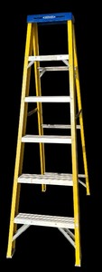 lot 269 image: Werner Step Ladder