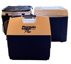 lot 85 image: Three Large Coolers by Igloo