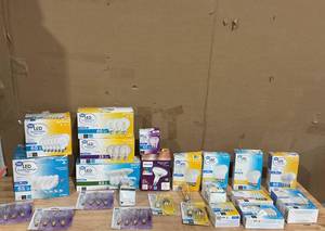 lot 453 image: LOT OF 24 Boxes of Light Bulbs