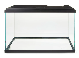 lot 178 image: Aqua Culture 10-Gallon Glass Aquarium Starter Kit