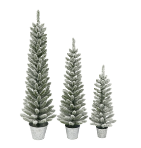 lot 734 image: Potted Flocked Pencil Trees in 3ft 4ft & 5ft sizes 322 Tips Galvanized Pot