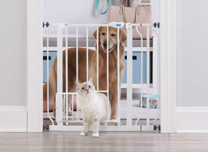 lot 681 image: Carlson Extra Wide Walk-Through Pet Gate with Small Pet Door, Fits Openings 29-38.5 Wide