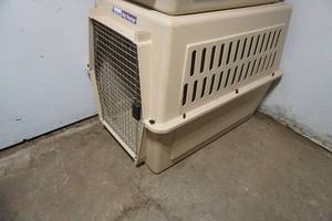 lot 209 image: large dog kennel