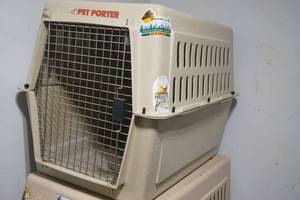 lot 210 image: large dog kennel