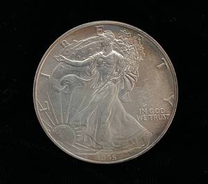 1995 Toned Walking Liberty Silver Dollar .999 Silver