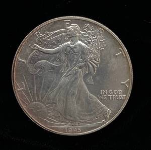 lot 10 image: 1995 Toned Walking Liberty Silver Dollar .999 Silver
