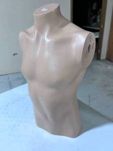 lot 308 image: Mannequin Male Torso