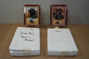 lot 107 image: 2 Franklin Mint Porcelain Plates -Best of Breed, Canine Curiosity