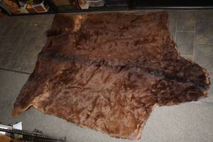 lot 185 image: Antique Handmade Horse Hide Blanket