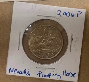 lot 29 image: 2006P NEVADA POOPING HORSE ERROR QUARTER