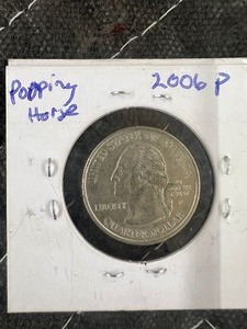 lot 139 image: 2006P NEVADA POOPING HORSE ERROR QUARTER