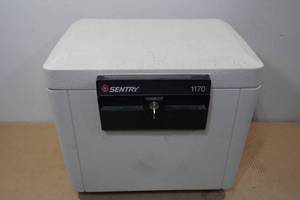 lot 160 image: Sentry Fire Resistant Box