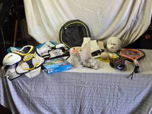 lot 99 image: Mixed Sports Equipment and Accessories Collection