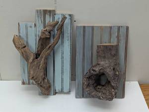 lot 57 image: Pair of Driftwood Air Plant Displays