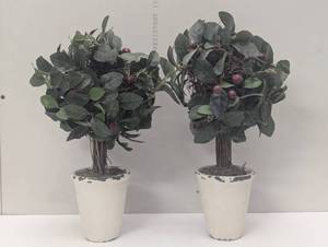 lot 52 image: Pair of Faux Oliver Table Top Decor