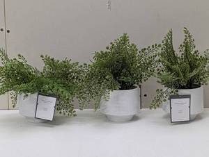 lot 89 image: 3 Faux Fern - Table Top Decor - Threshold