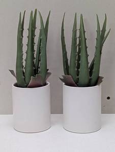 lot 91 image: Pair of Faux Aloe Plants - Table Top Decor - Threshold