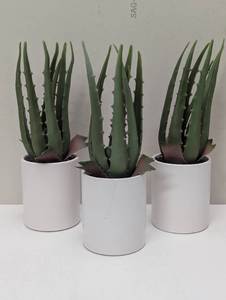 Set of 3 Faux Aloe Plants - Table Top Decor - 1 small crack