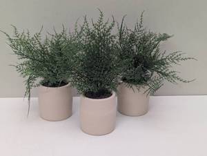 lot 136 image: Set of 3 - Faux Plant Tabletop Arrangement - Artificial Fern - 3 Pack