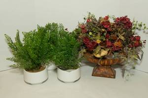 lot 57 image: Faux Plants