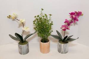 lot 227 image: Three Faux Plants