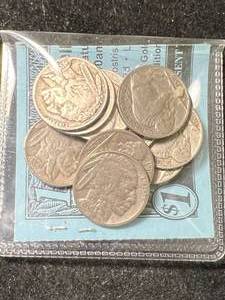 lot 67 image: 10 US BUFFALO NICKELS
