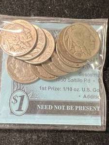 lot 80 image: 10 US BUFFALO NICKELS