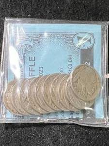 lot 81 image: 10 US BUFFALO NICKELS
