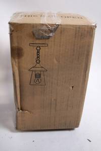 lot 352 image: Industrial Pendant Light Fixture with Chain