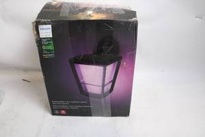 lot 489 image: Philips Hue White and Color Ambiance Outdoor Wall Lantern